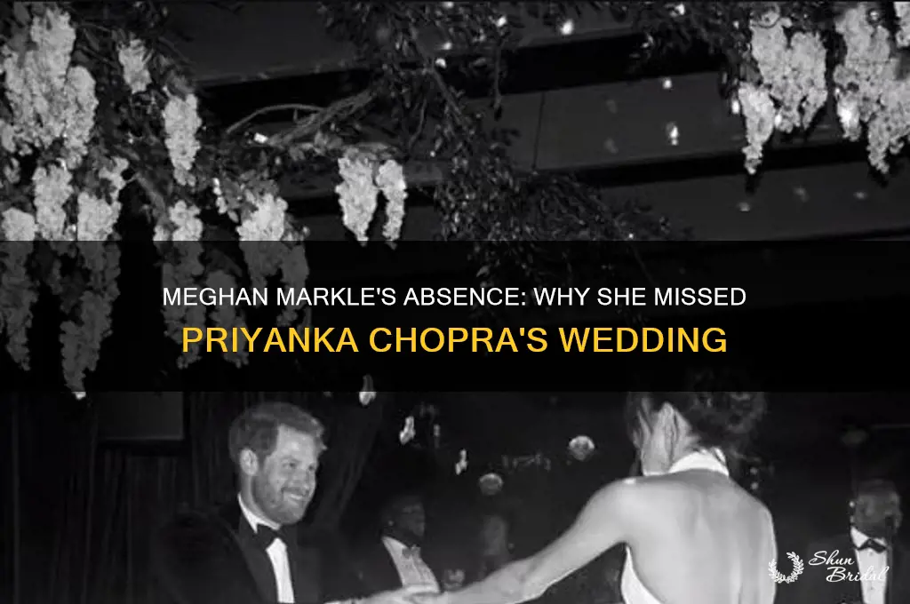 did meghan go to priyanka wedding