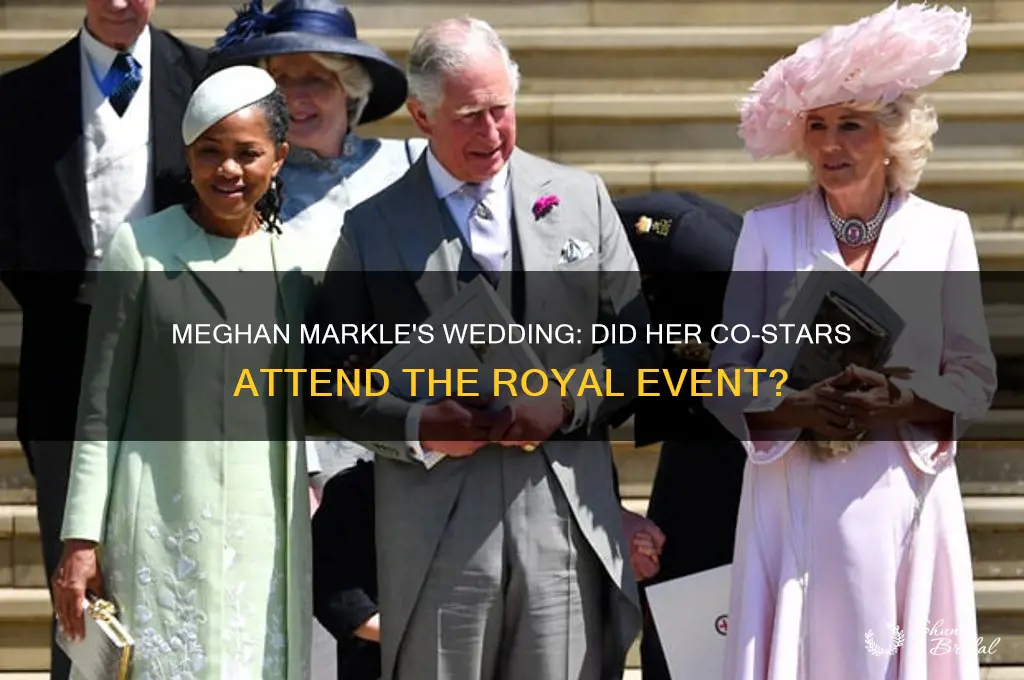 did meghan markles co stars go to the wedding