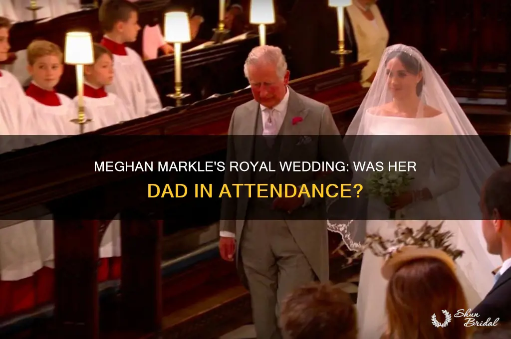 did meghan markle
