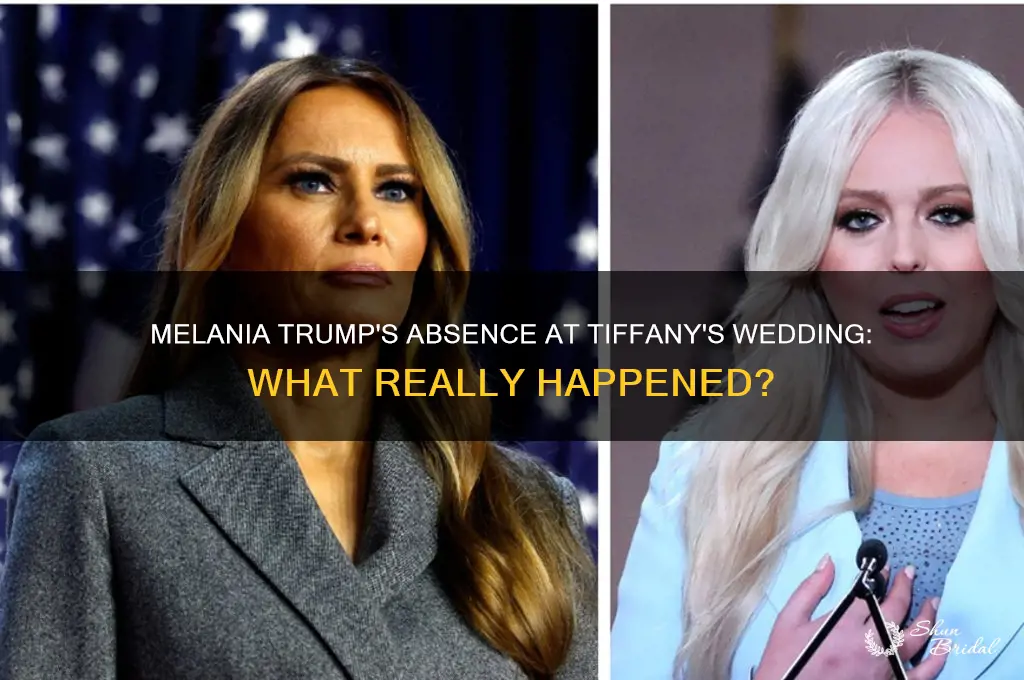 did melania go to tiffany