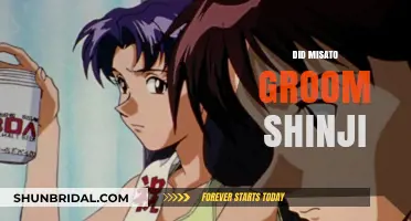 Exploring the Complex Relationship Between Misato and Shinji