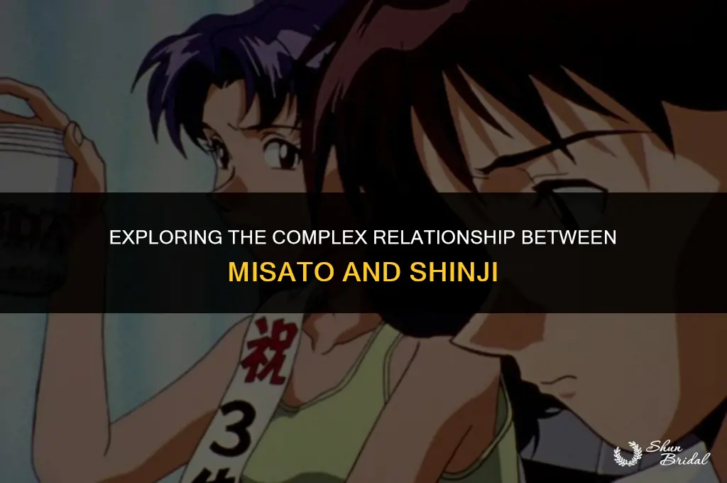did misato groom shinji