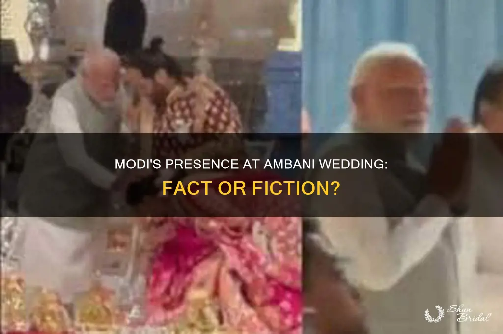 did modi go to ambani wedding
