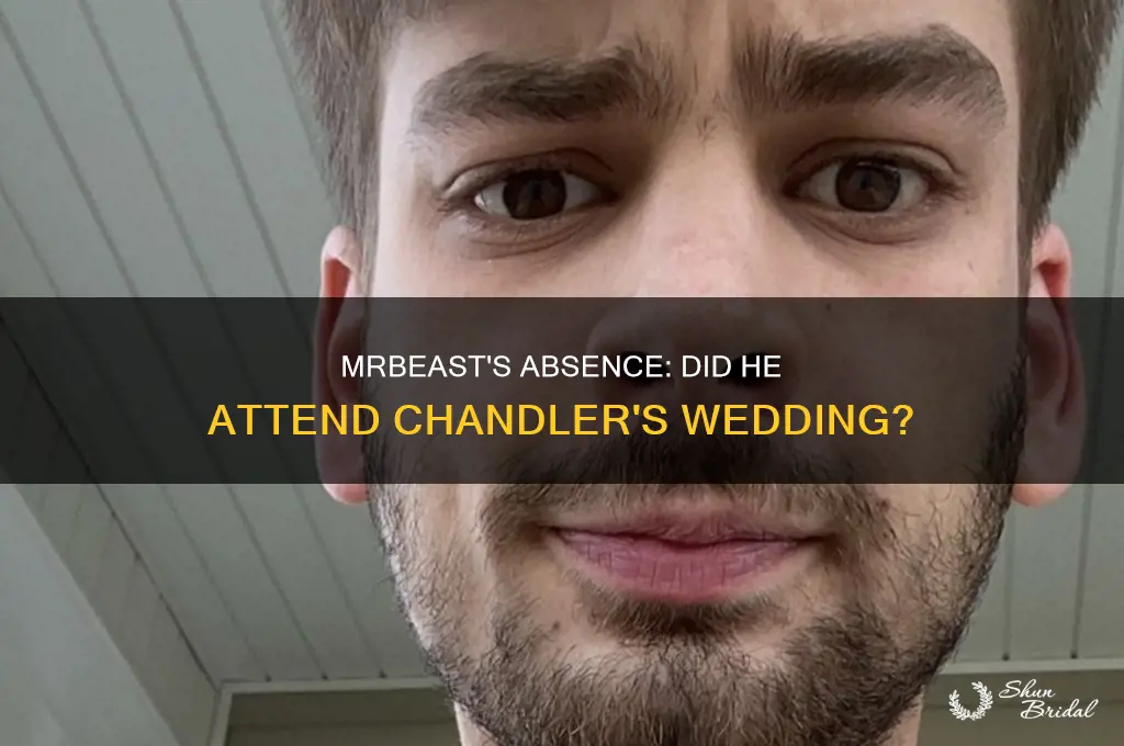 did mrbeast go to chandler