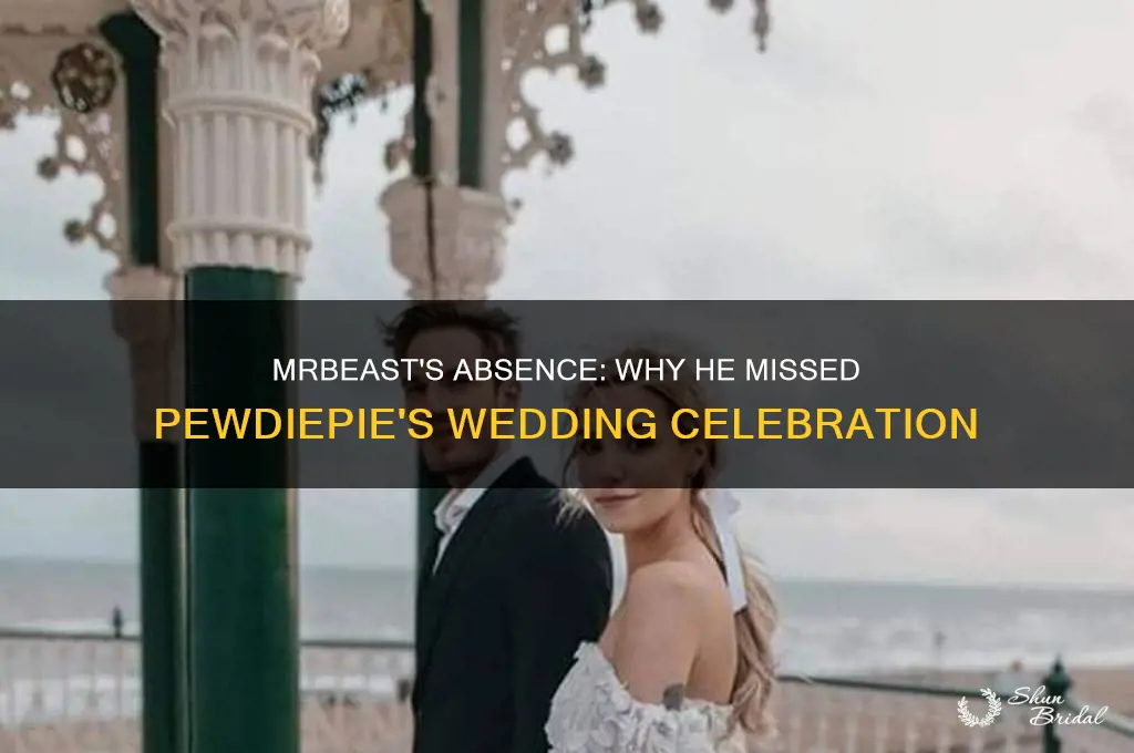 did mrbeast go to pewdiepie