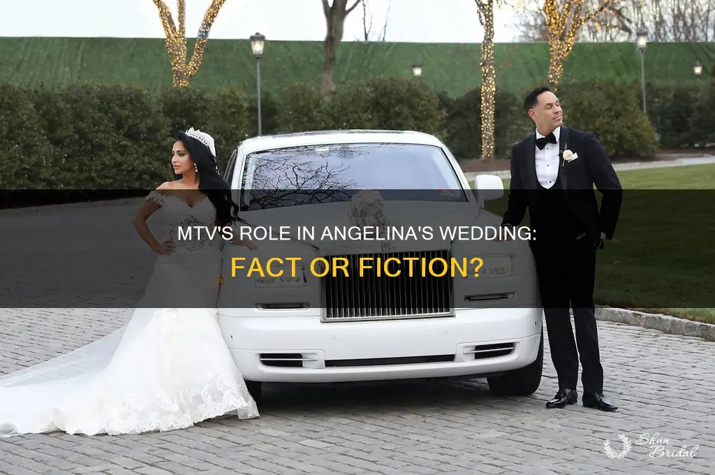 did mtv pay for angelina wedding