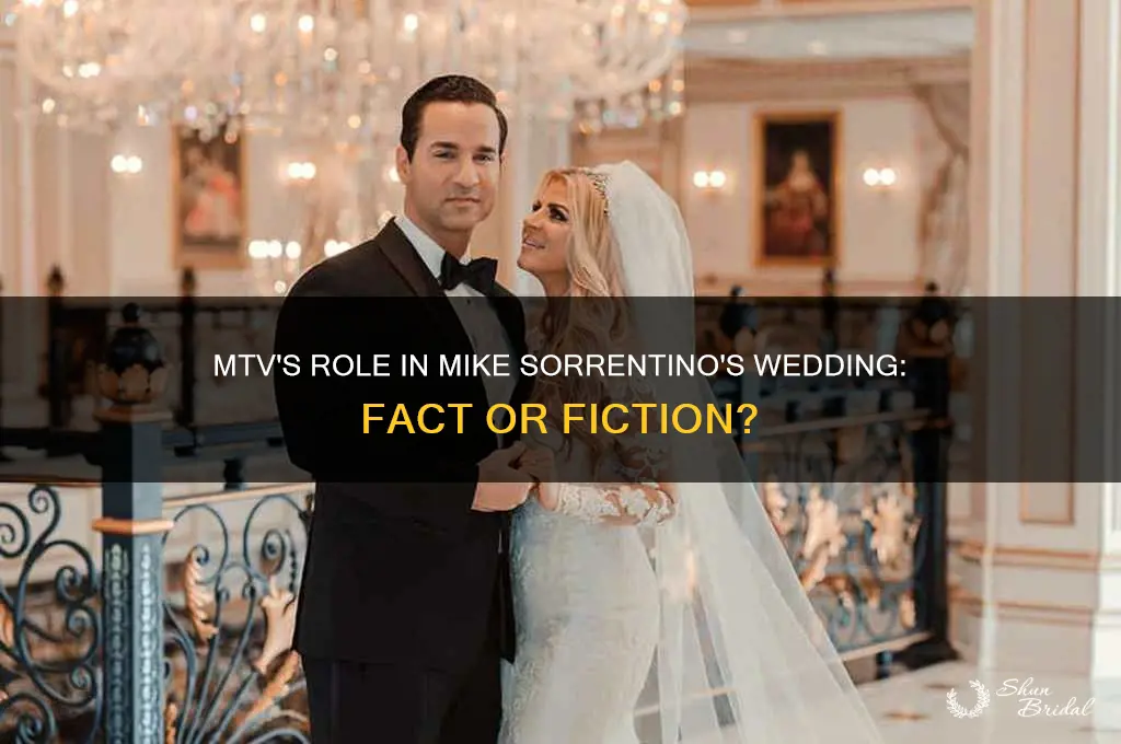 did mtv pay for mike sorrentino