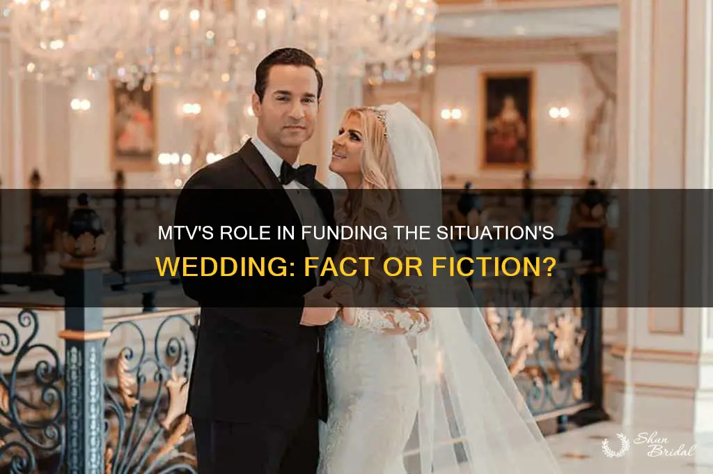 did mtv pay for situation wedding