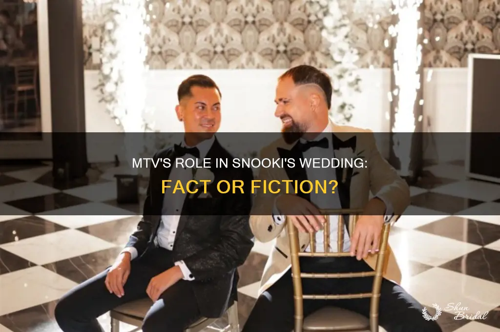 did mtv pay for snooki
