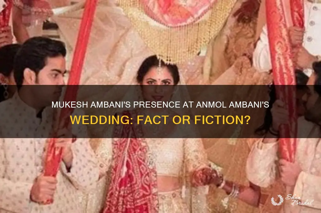 did mukesh ambani go to anmol ambani wedding