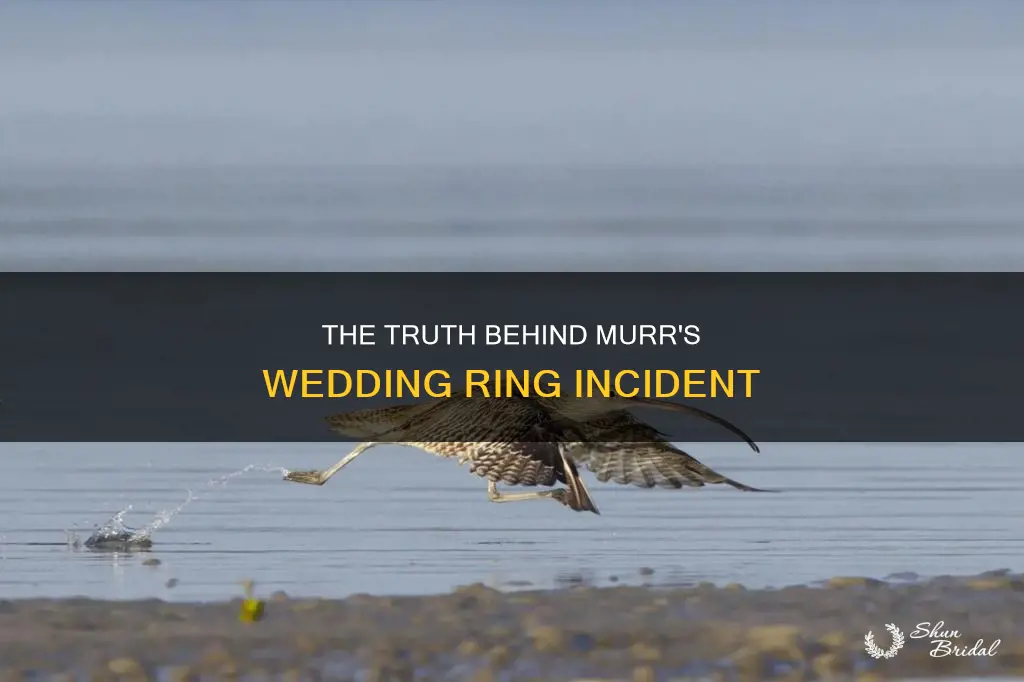 did murr swallow his wedding ring