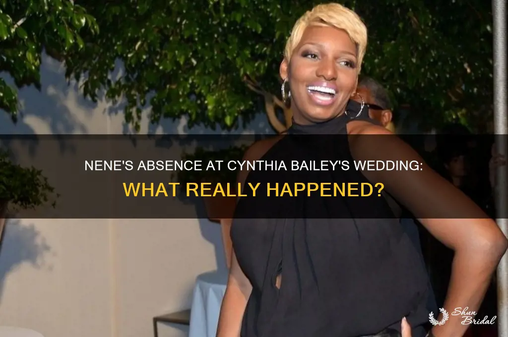 did nene go to cynthia bailey wedding