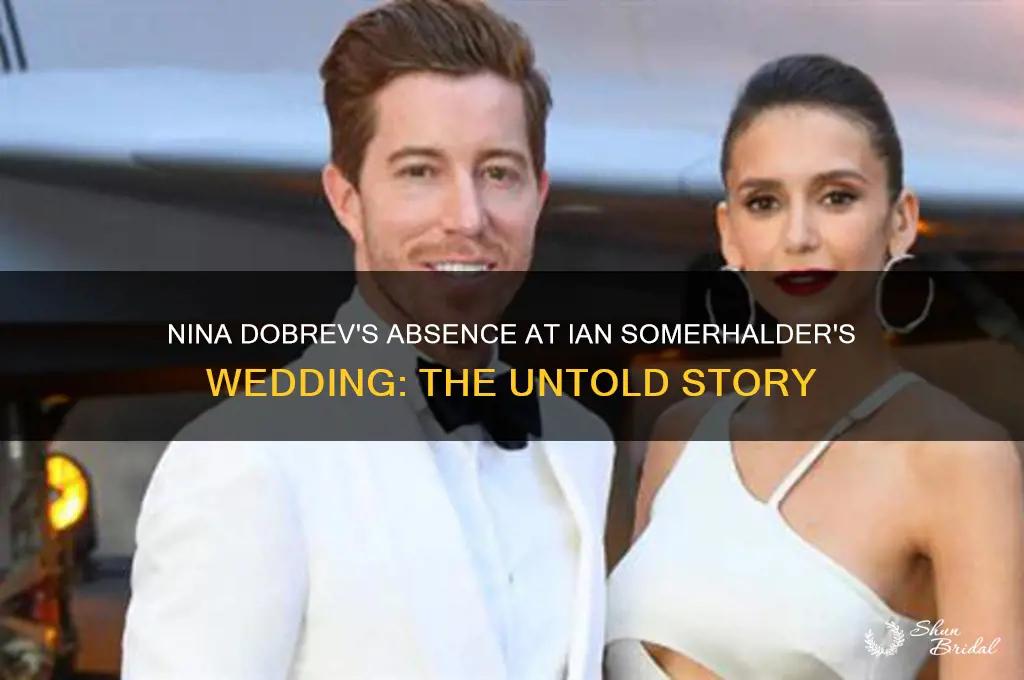 did nina dobrev go to ian somerhalder
