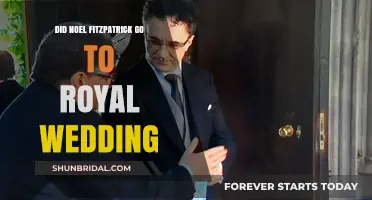Noel Fitzpatrick's Royal Wedding Attendance: Fact or Fiction?