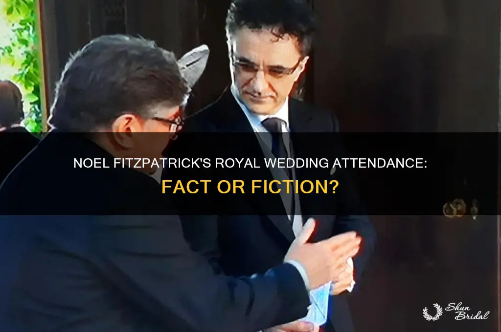 did noel fitzpatrick go to royal wedding