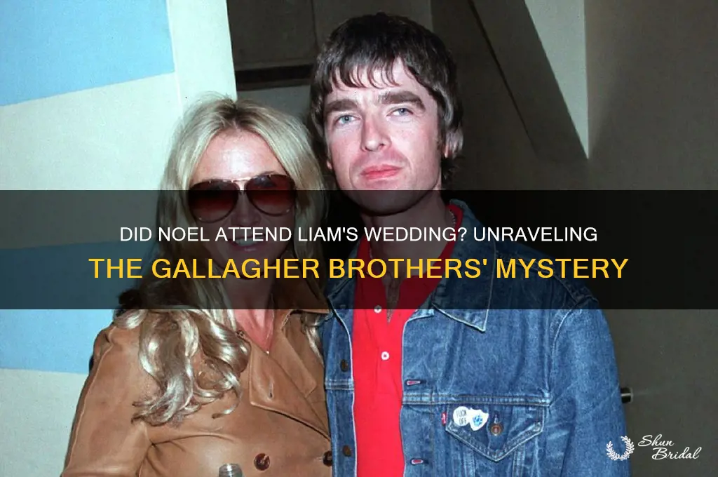 did noel go to liam