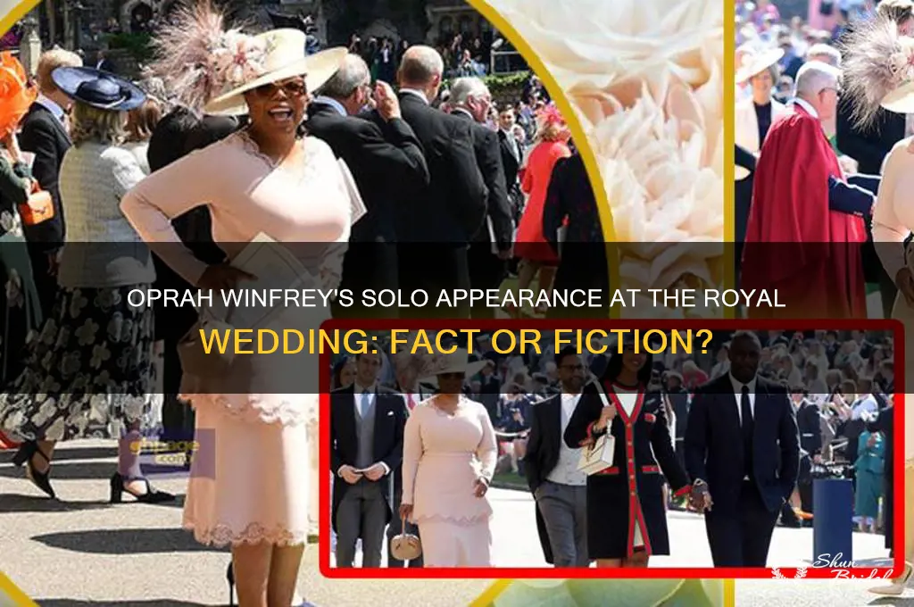 did oprah winfrey attend the royal wedding alone