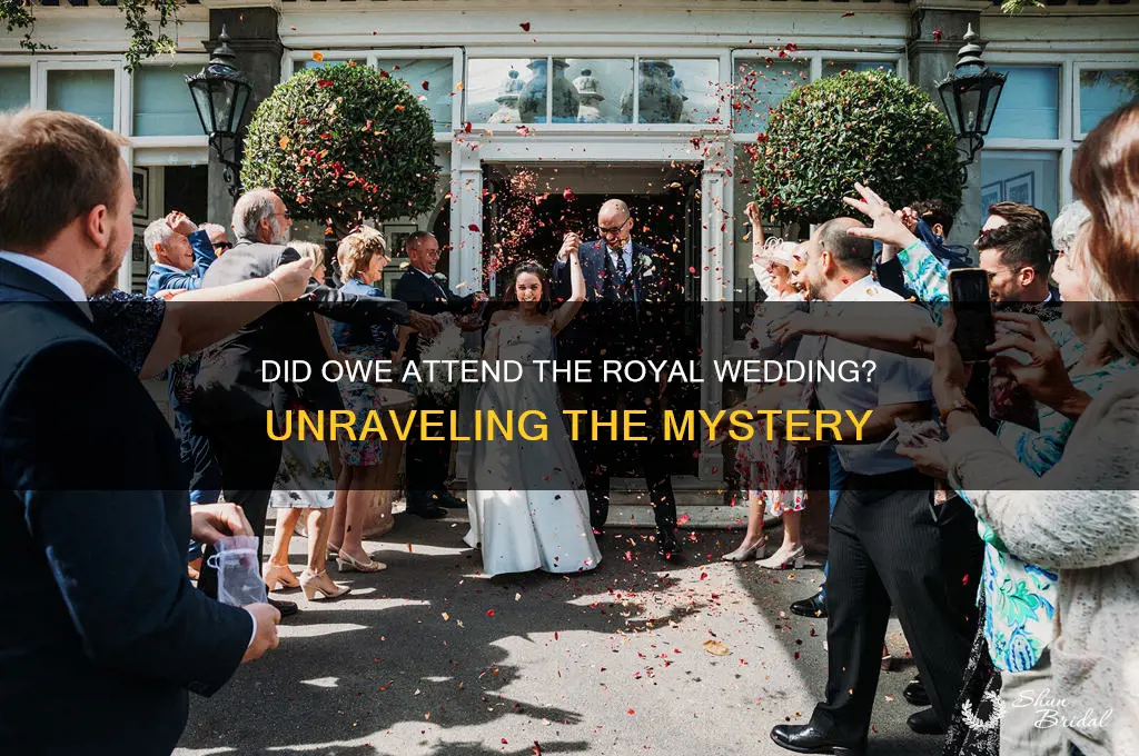 Did Owe Attend The Royal Wedding? Unraveling The Mystery ShunBridal