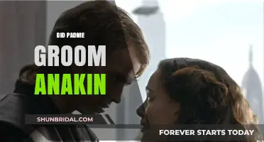 Did Padme Groom Anakin? A Critical Analysis of Their Relationship