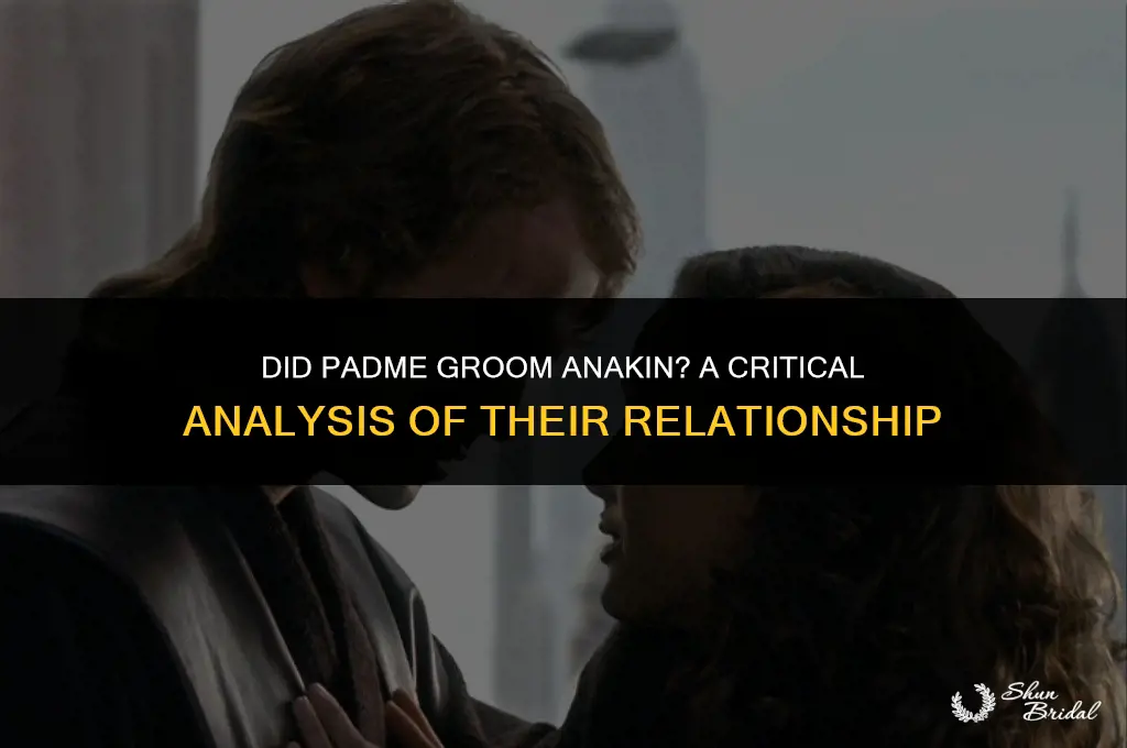 did padme groom anakin