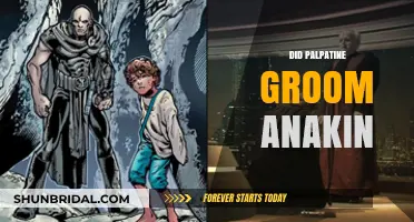 The Dark Side of Mentorship: Palpatine's Influence on Anakin