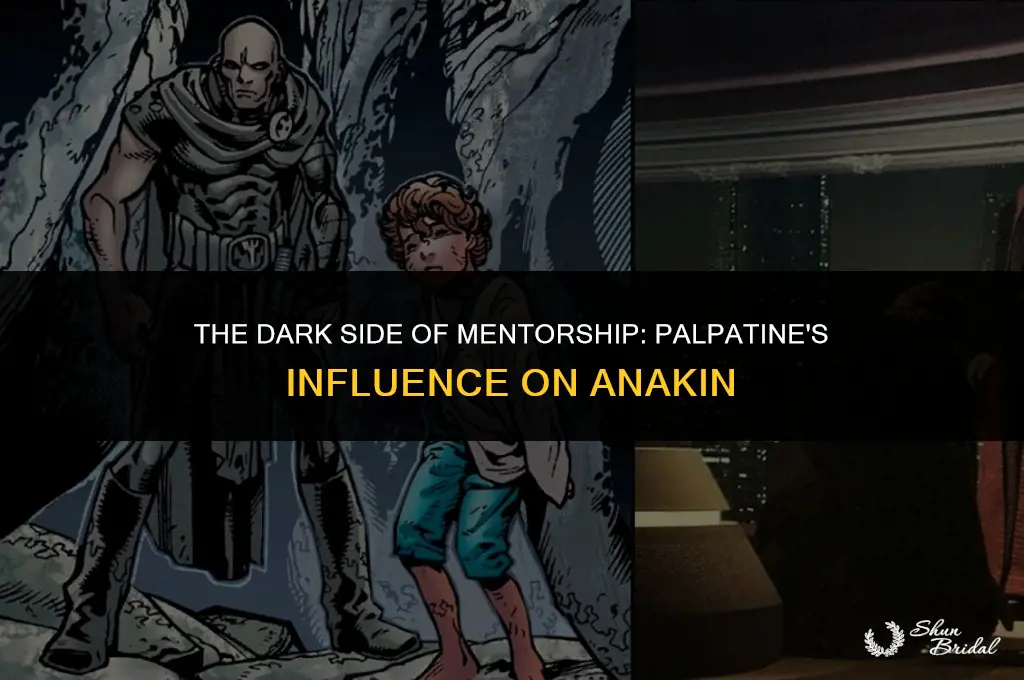did palpatine groom anakin