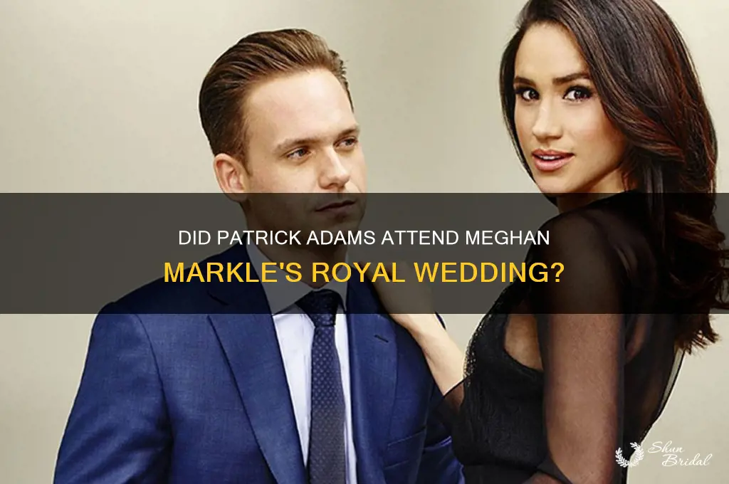 did patrick adams go to meghan markle