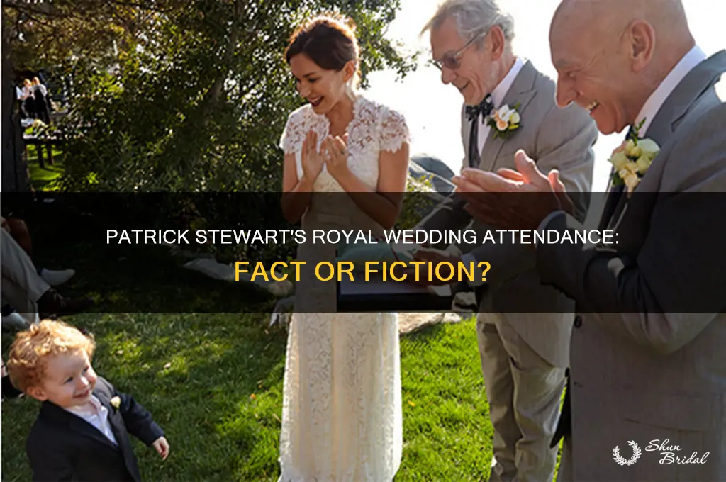 did patrick steward attend the royal wedding