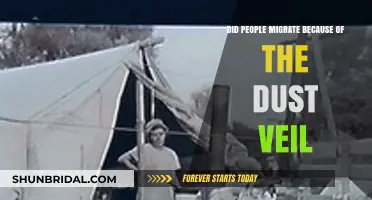 Dust Veil Migration: Did Environmental Disaster Drive Human Movement?