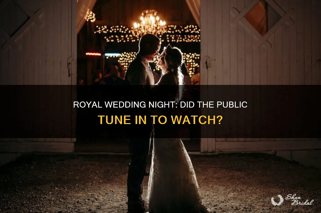 did people watch royal wedding night