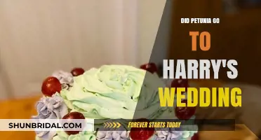 Petunia Dursley's Absence: Did She Attend Harry Potter's Wedding?