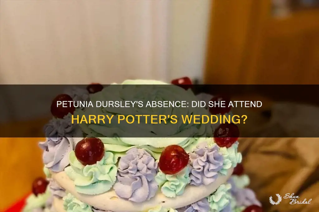 did petunia go to harry