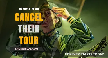 Pierce the Veil Tour Cancellation: What Really Happened?