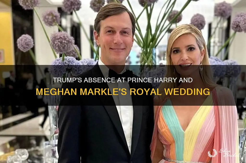 did president trump go to prince harrys wedding