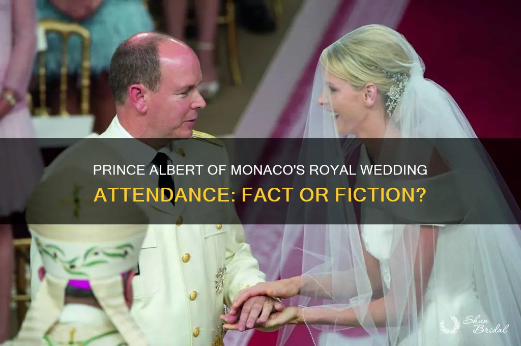 did prince albert from monaco go on royal wedding