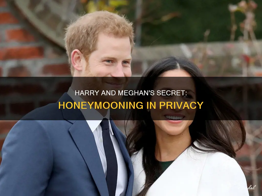 did prince harry and meghan markle go on honeymoon