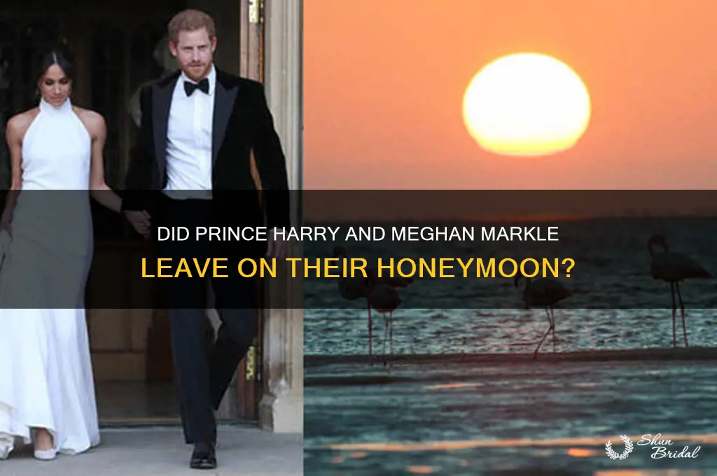 did prince harry and meghan markle leave on their honeymoon
