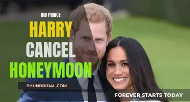 Prince Harry's Honeymoon: The Truth Behind the Cancellation