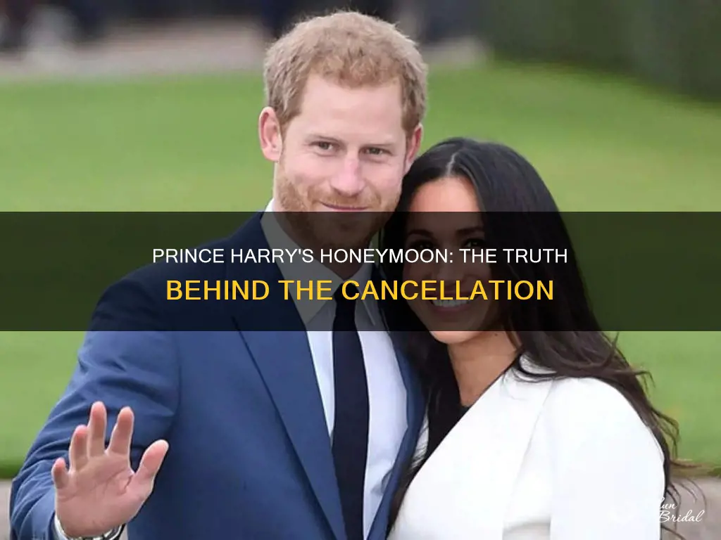 did prince harry cancel honeymoon