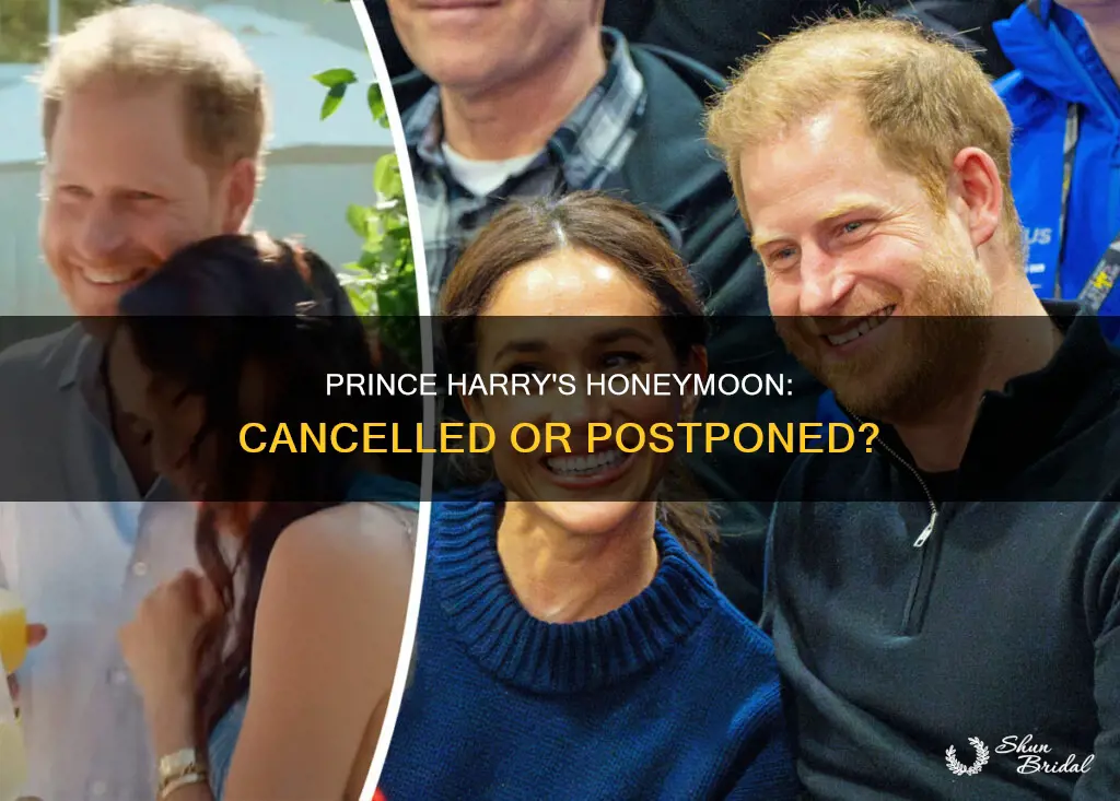 did prince harry cancel honeymoon