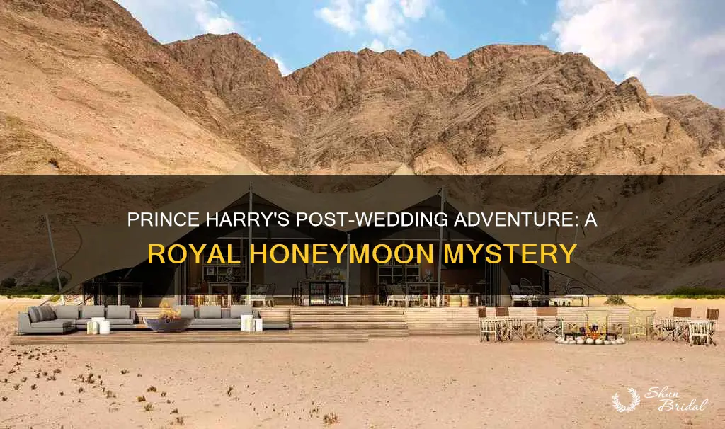 did prince harry go on a honeymoon