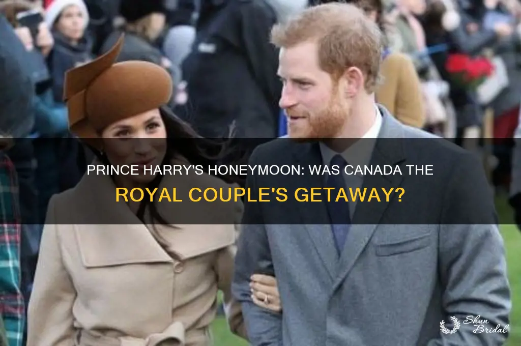 did prince harry honeymoon in canada