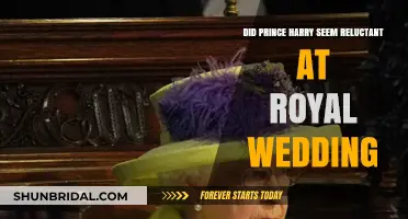 Prince Harry's Hesitant Expressions at the Royal Wedding: Fact or Fiction?