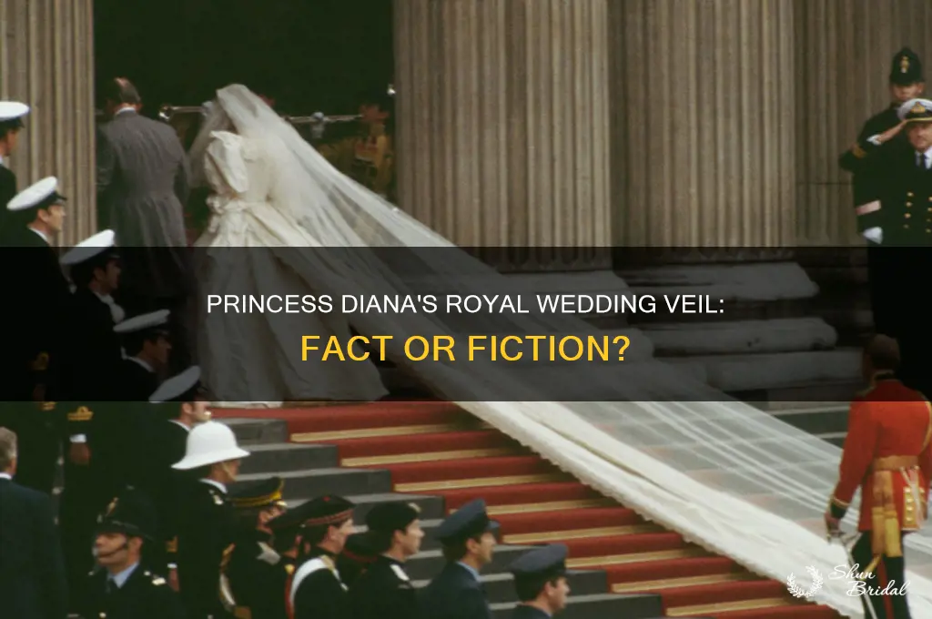 did princess diana wear a veil