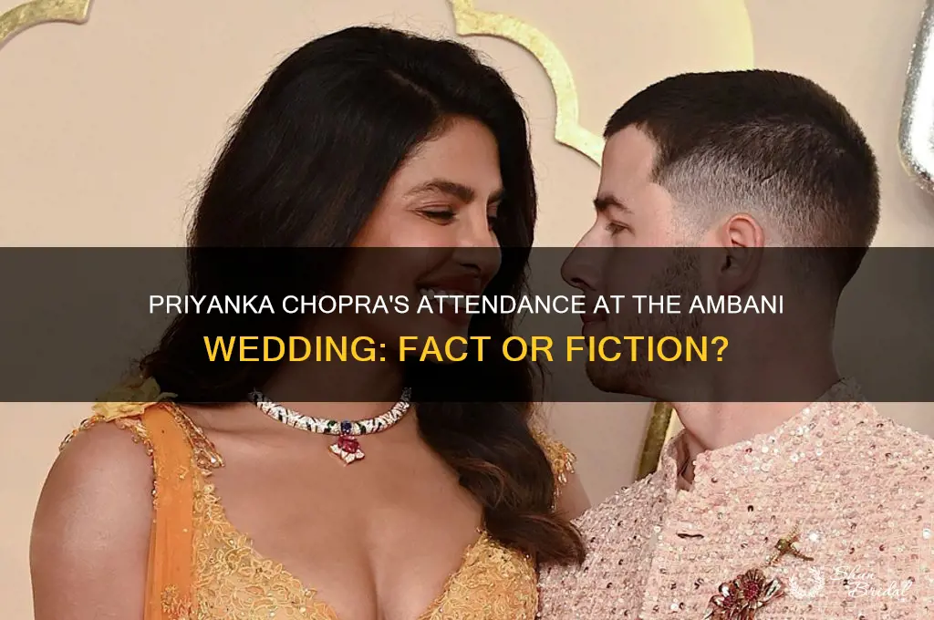 did priyanka chopra go to ambani wedding