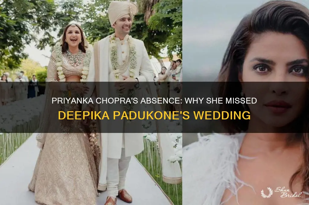 did priyanka chopra go to deepikas wedding