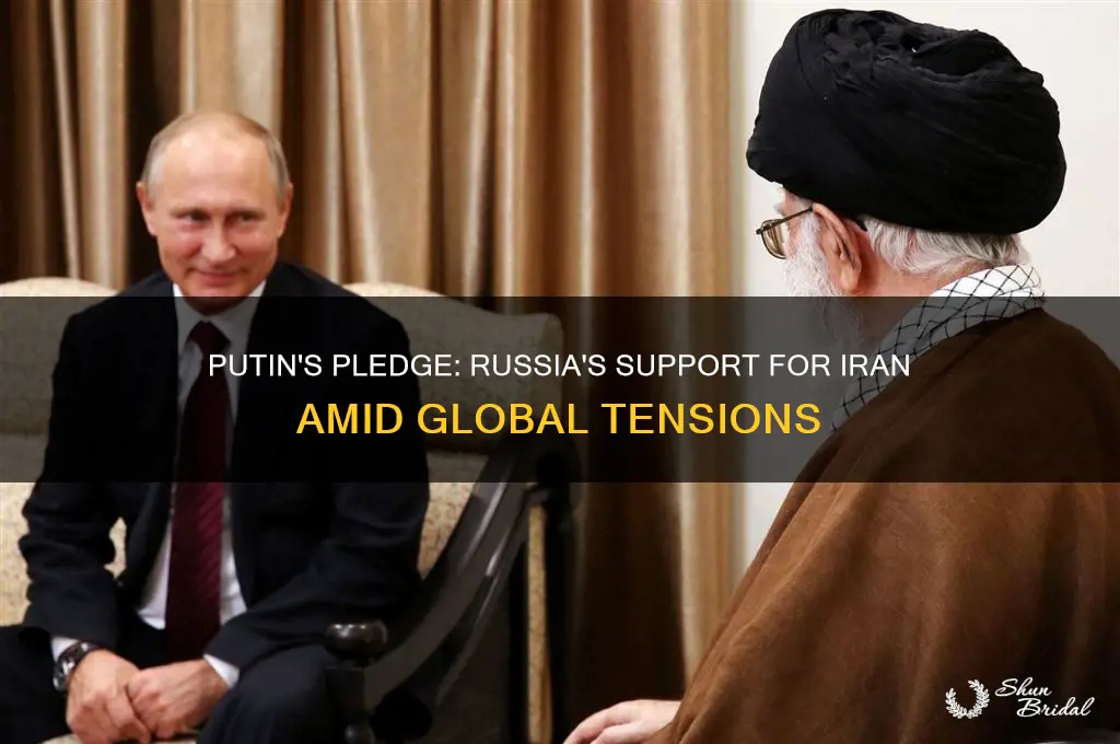 did putin vow to back iran