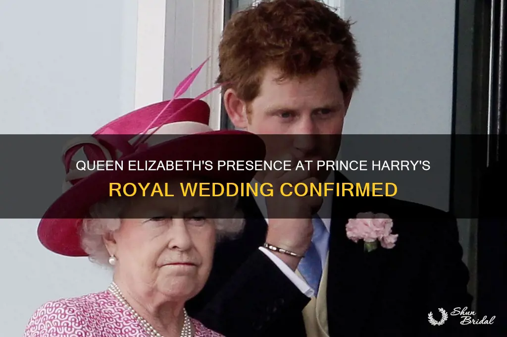 did queen elizabeth go to harry