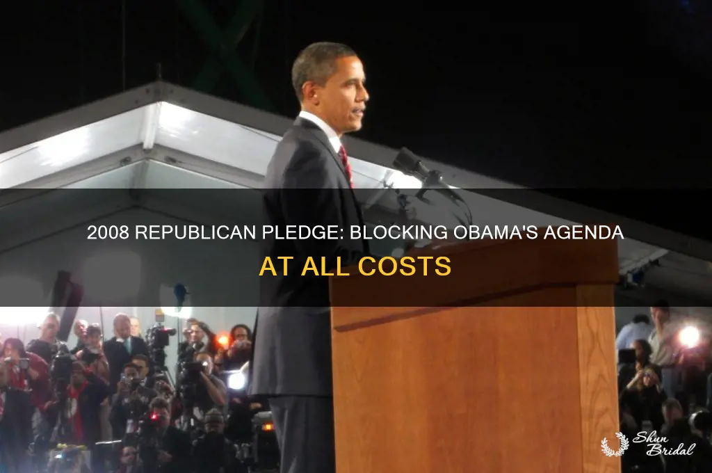 did republicans vow to block obama agenda 2008