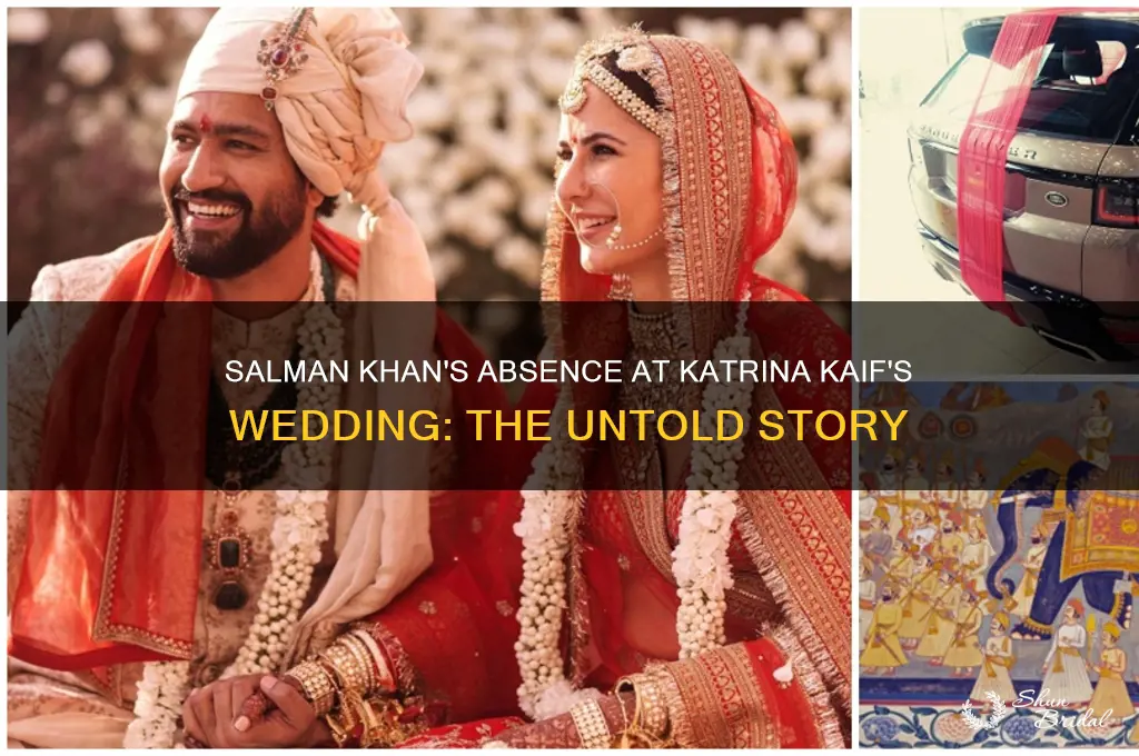 did salman go to katrina